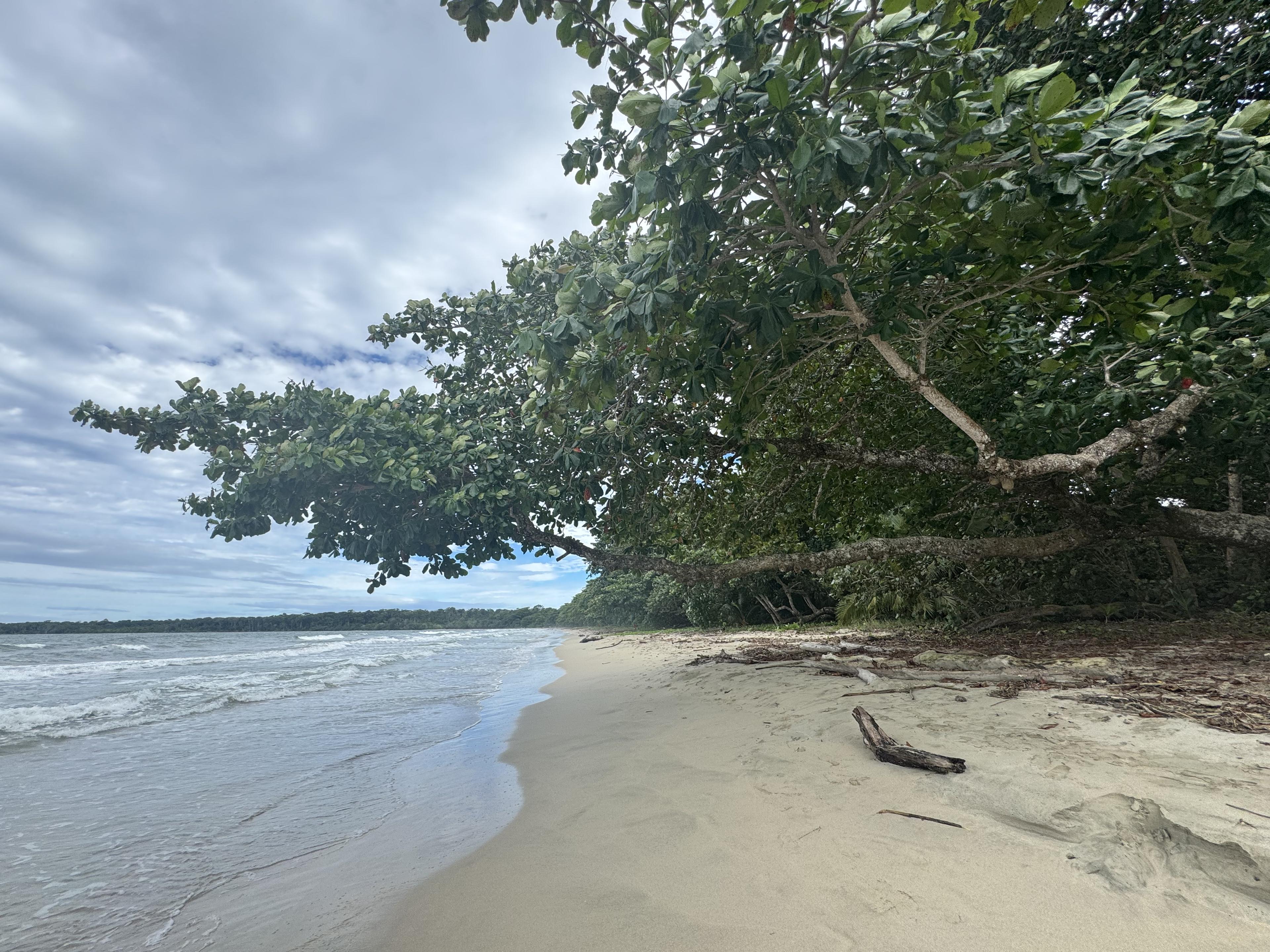 GroovinFly travelers exploring Panama