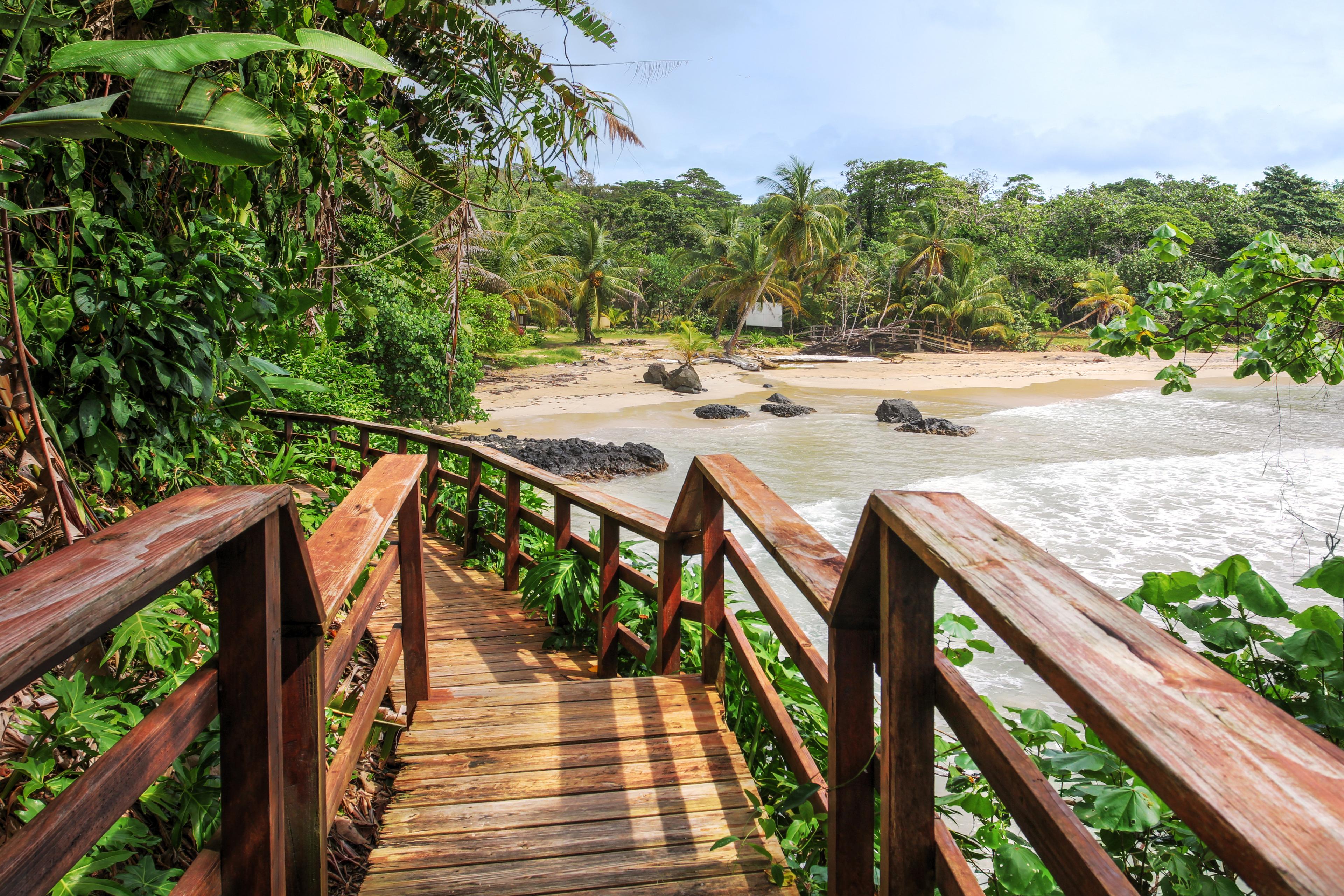 Jungle boardwalk in Bocas del Toro